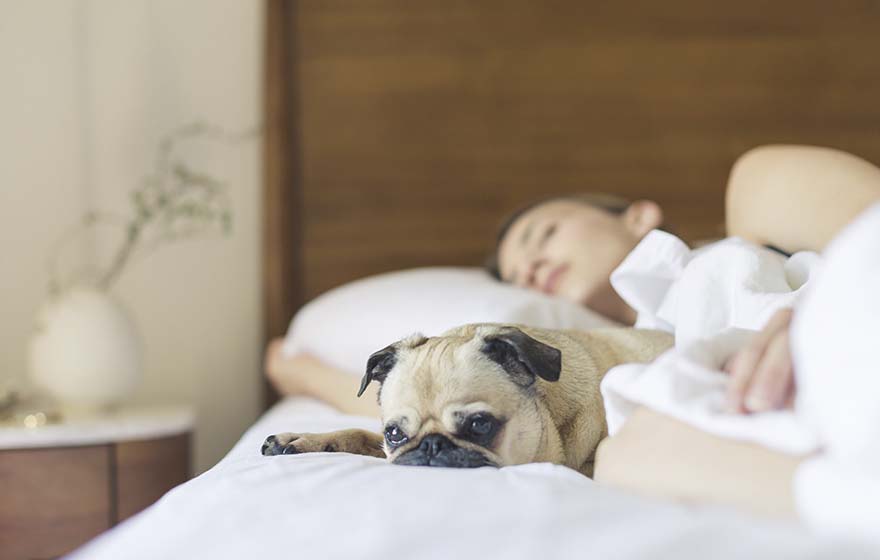 Kebiasaan Sehari-Hari yang Membantu Meningkatkan Kualitas Tidur Orang Dewasa